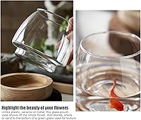 Vista 9 de Jarrón de cristal con base de madera desmontable, pequeña planta hidropónica de escritorio, terrario ecológico para acuario, florero para peces
