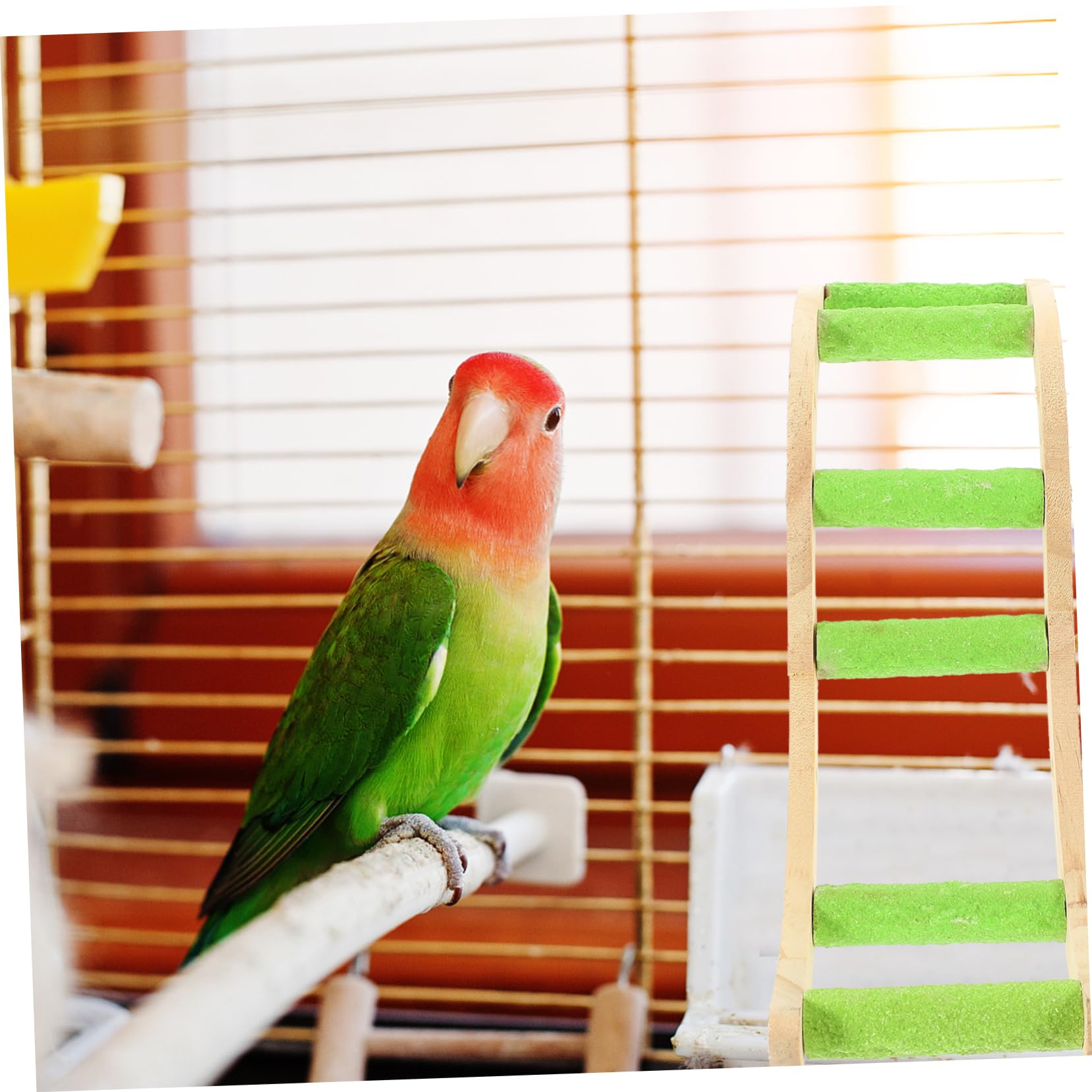 Toddmomy Wooden Ladder Toy for Parrots Bird Cage Accessory Creative Bird Plaything