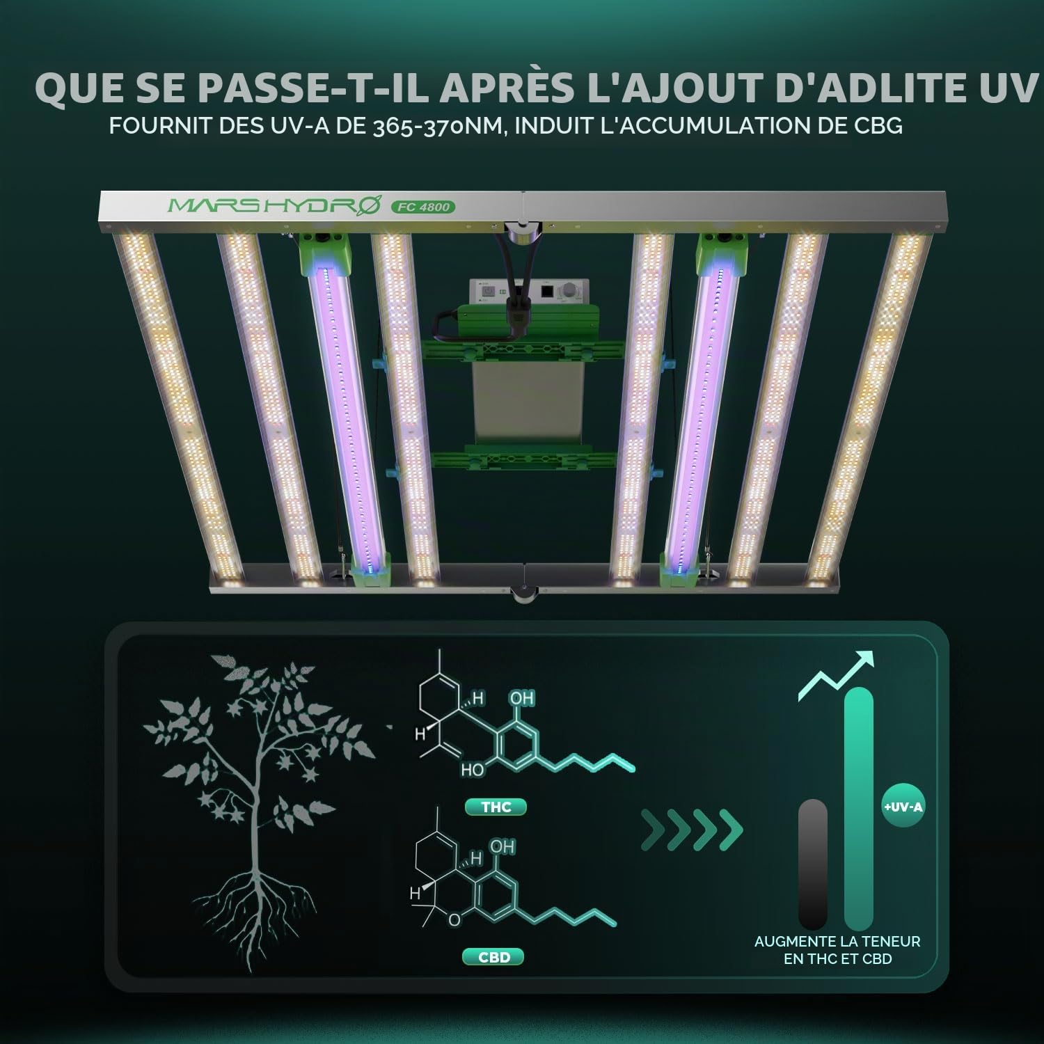 Lampe de Culture LED MARS HYDRO ADLITE UR3015 - Augmente le Rendement des Plantes, Renforce la Résistance aux Maladies et Ravageurs, Favorise la Croissance et la Floraison