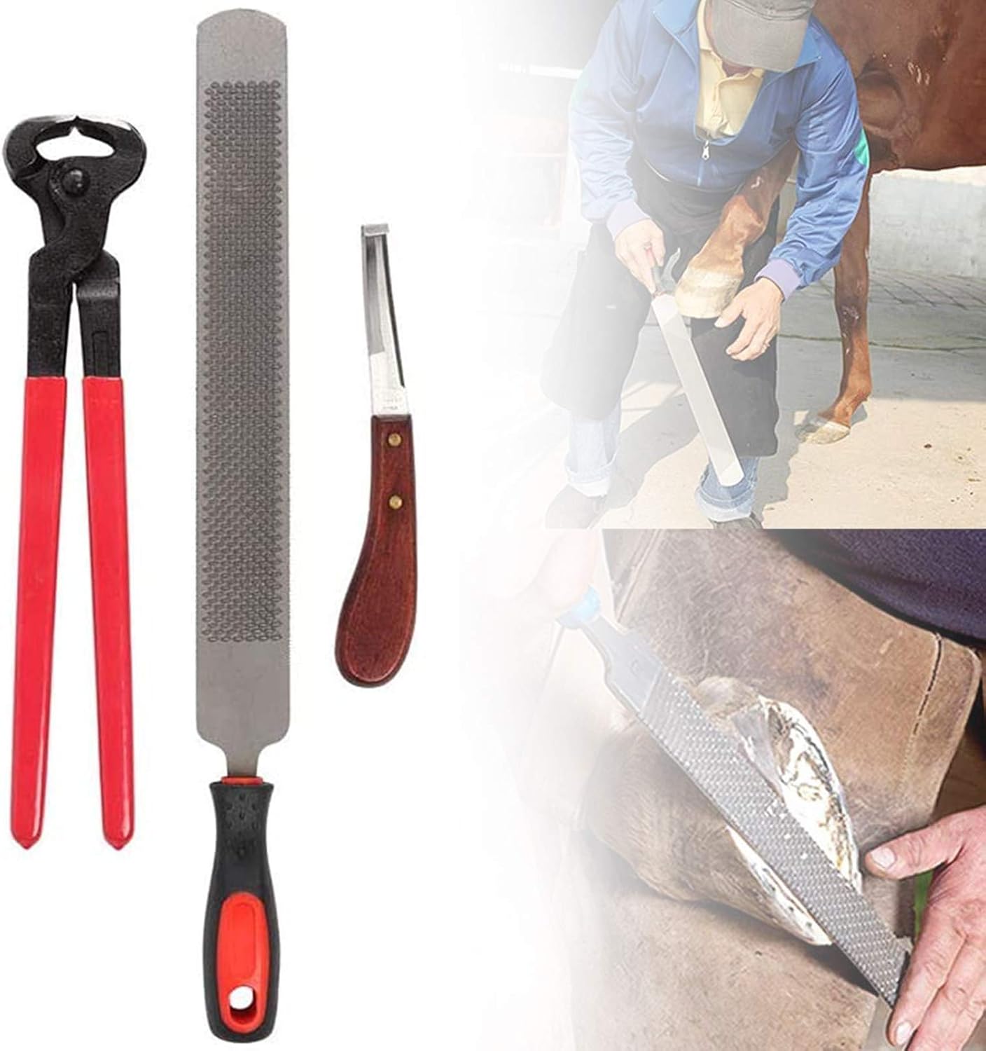 ZHVBC Goat Hoof Trimmer, Rasp Hoof Cutter Set