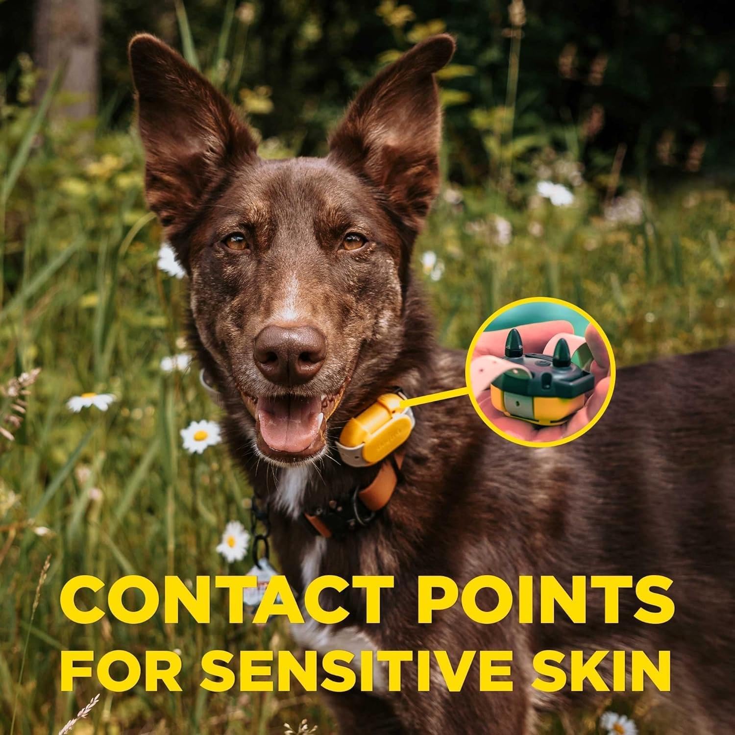 Quick setup guide showing steps to set base and boost correction levels on the Dogtra CUE transmitter and receiver.