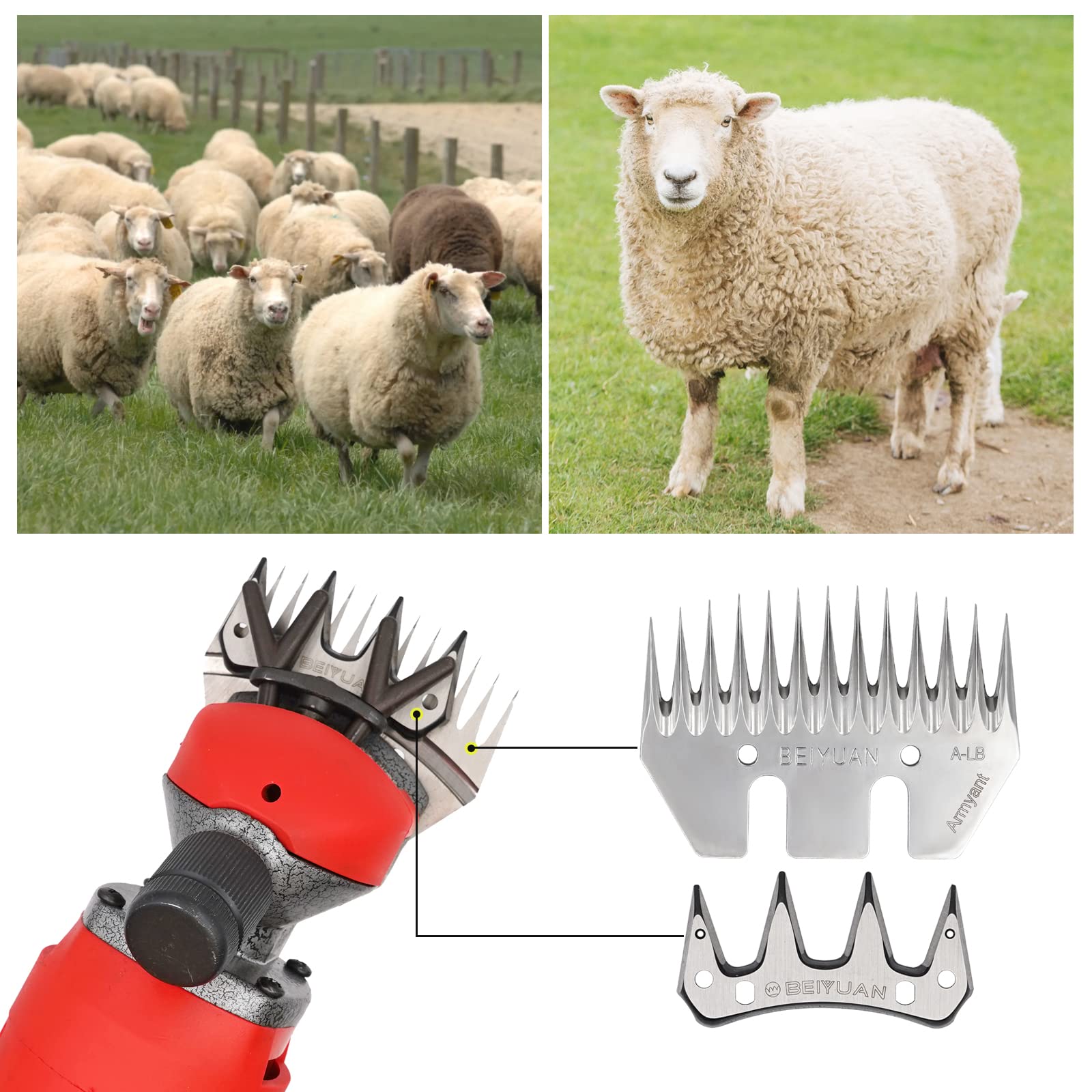 Lames de Cisailles à Moutons en Acier Inoxydable Peigne Lames de Remplacement pour Tondeuse à Mouton (13 Teeth Stright)