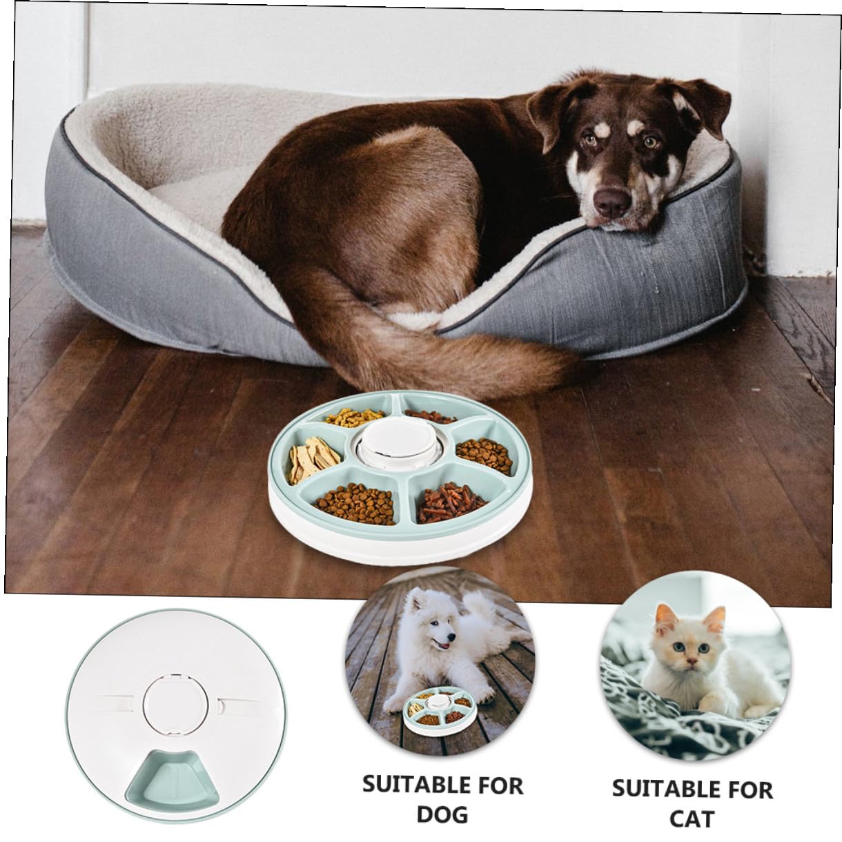 DOITOOL Comedero Automático para Perros con Temporizador, Seis Compartimentos ABS Antideslizante Comedero Mascotas