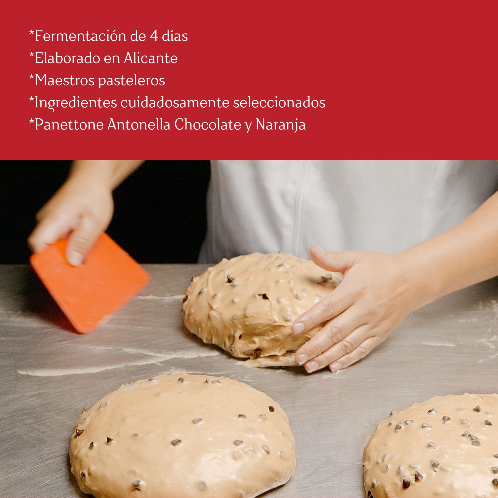 Panettone Antonella de Chocolate y Naranja XXL 1200 gr - Elaboración Artesanal con Receta Tradicional - Delicioso Panetone Dulce Navideño (1 PANETTONE)