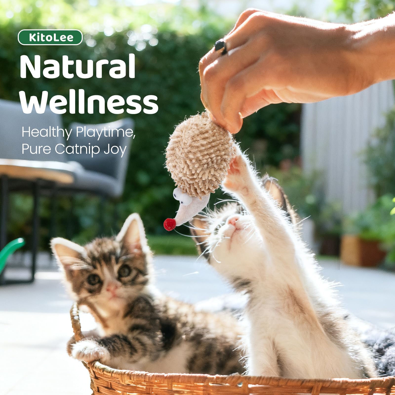 Jouet interactif en peluche à l'herbe à chat pour l'intérieur, chatons adultes, jouet à mâcher pour le nettoyage des dents, résistant aux morsures, peluche chenille, souris, design hérisson, bienfaits