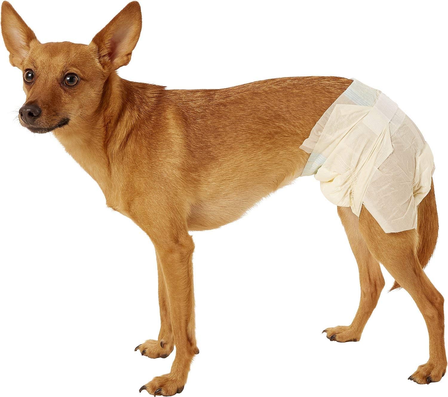 dogit disposable diapers