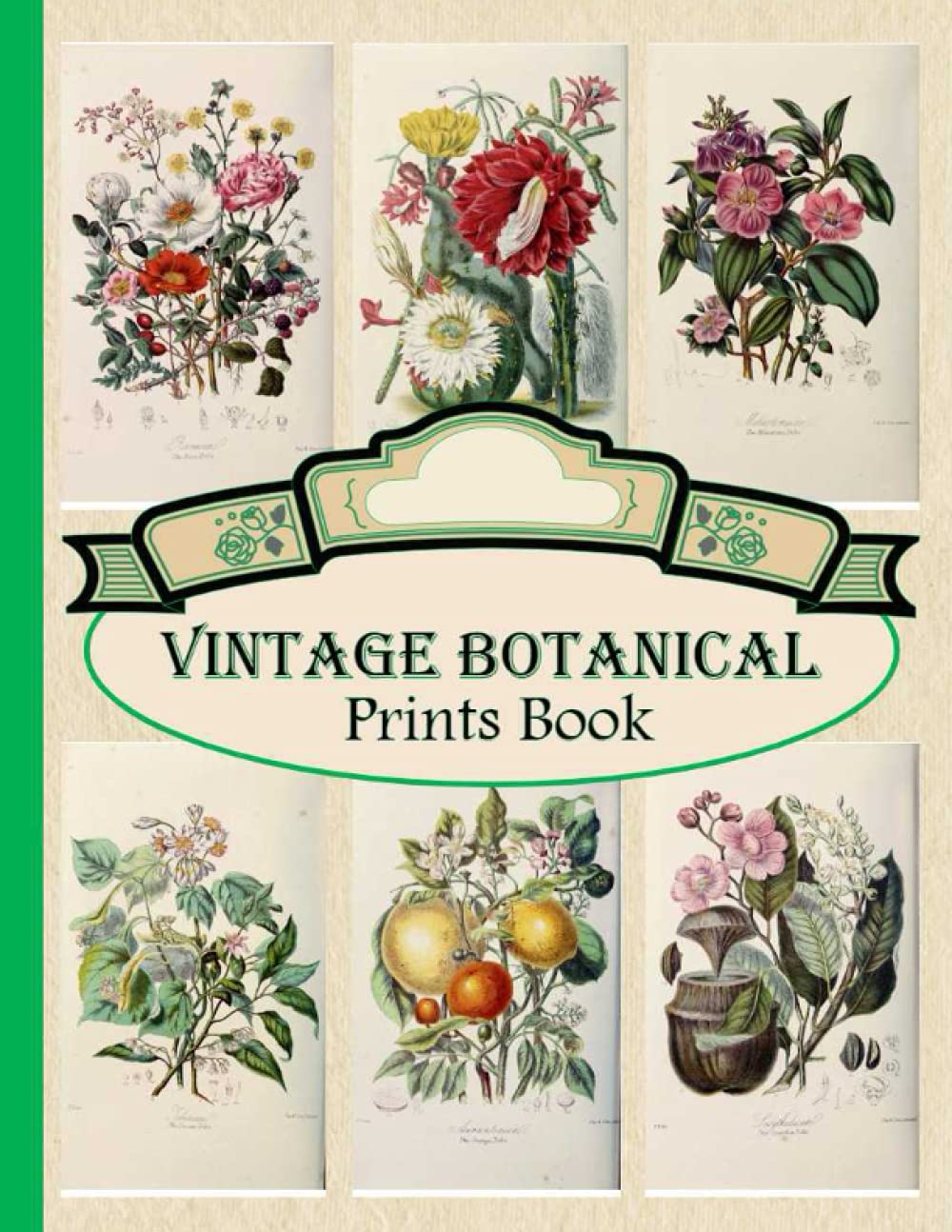 Vintage Botanical Prints Book: Botanical flowers Ilustrations, Ephemera for Junk Journaling, DIY Scrapbook, Decoupage, Collage and Mixed Media Projects,(Over 100 Classic Flowers Images to Cut out)