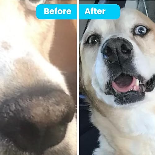 Miniatura 2 de Pawtitas Bálsamo nasal para perros para humectantes, narices secas, agrietadas y crujientes de perro que proporcionan una capa de protección en el