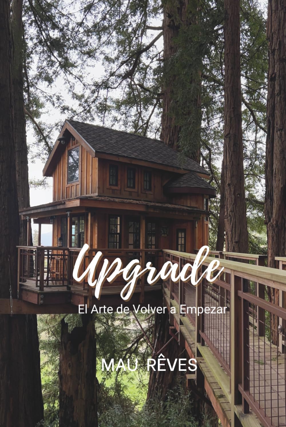 Upgrade: El arte de volver a empezar