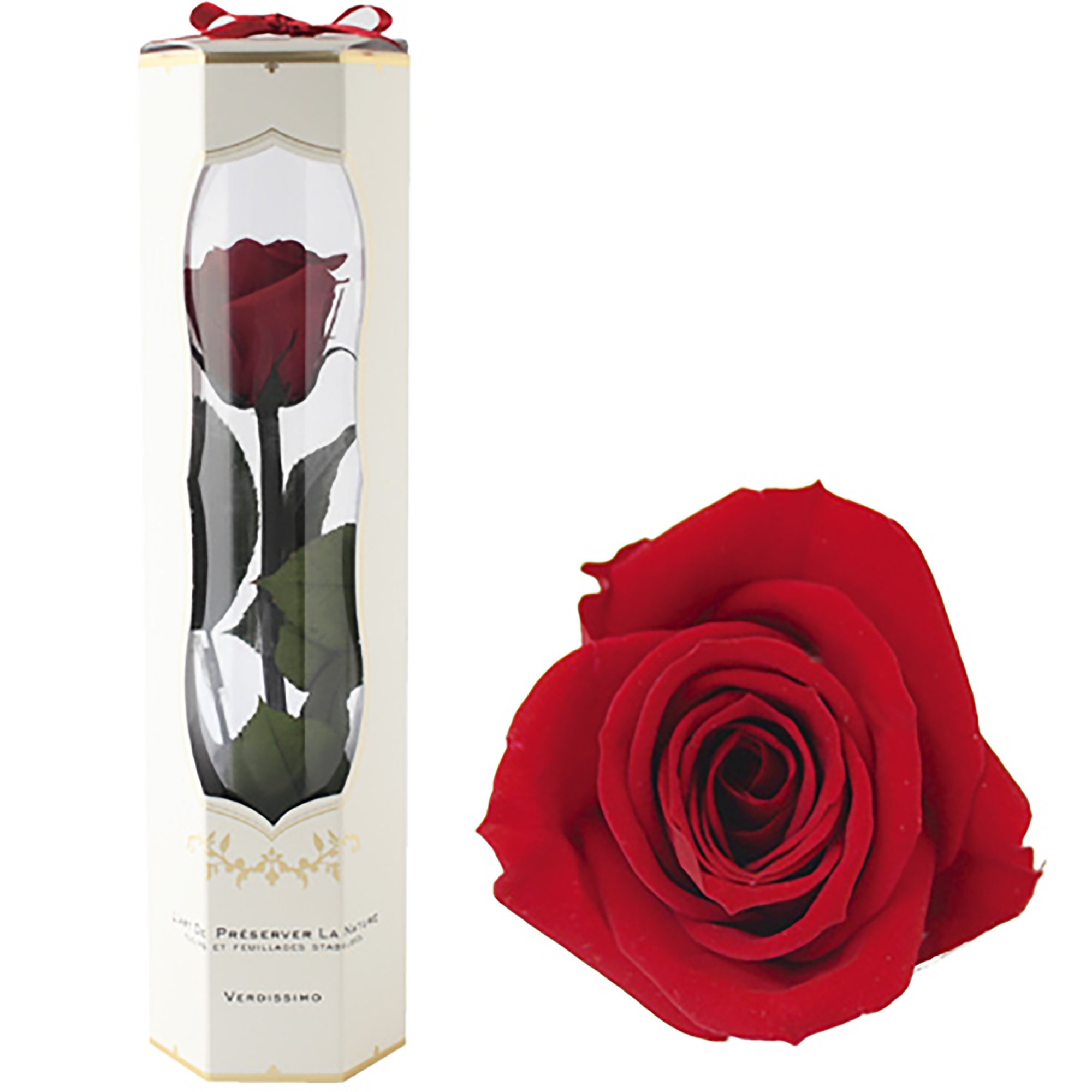 FRANCOFERRARO フランコフェラーロ　花柄　薔薇　リボンテープ　未使用 ダブルリングブレスレット FRANCO FERRARO(フランコフェラーロ