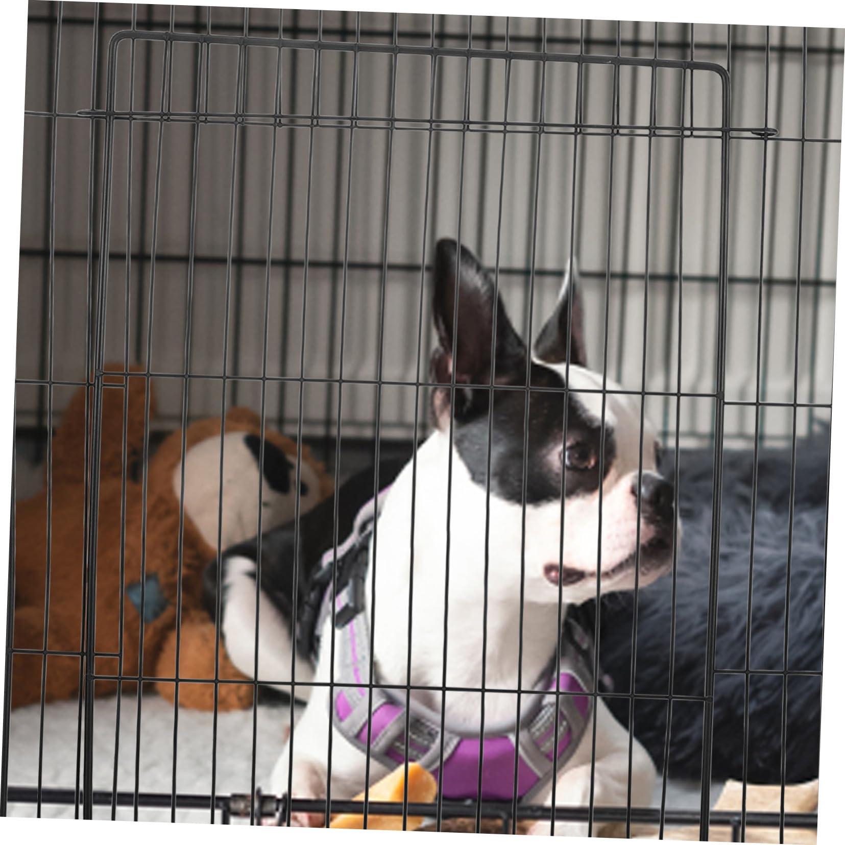 Rete per con Apertura Accessorio Versatile per Gabbie e Recinti Sicurezza per e Grandi Animali Facile da Montare e Compatibile con Box Espandibili