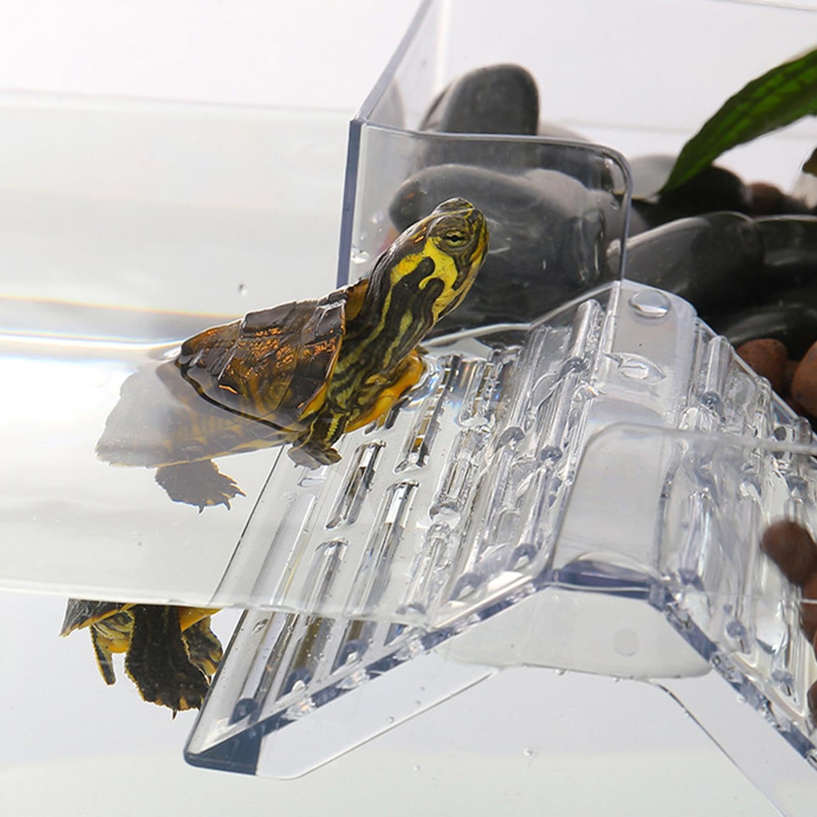 Rampa galleggiante per tartarughe, nascondiglio per rettili, piattaforma per tartarughe con nascondiglio, rampa galleggiante per tartarughe acquatiche, nascondiglio per rettili, piattaforma per acquar
