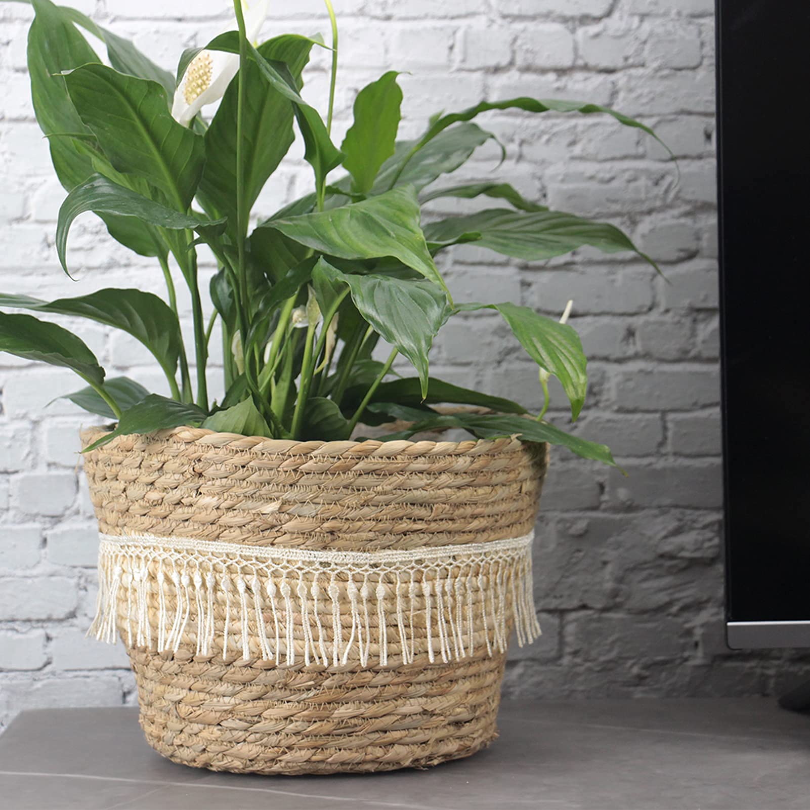 Earth-Friendly Deco Wheeled Planters 14 Inch set of 2 | Self Watering |  Bamboo Based Pots and Planters | UV Protected | Eco friendly planters for  Indoor, Outdoor, Home Decor, Balcony \u0026, image size:1601x1601