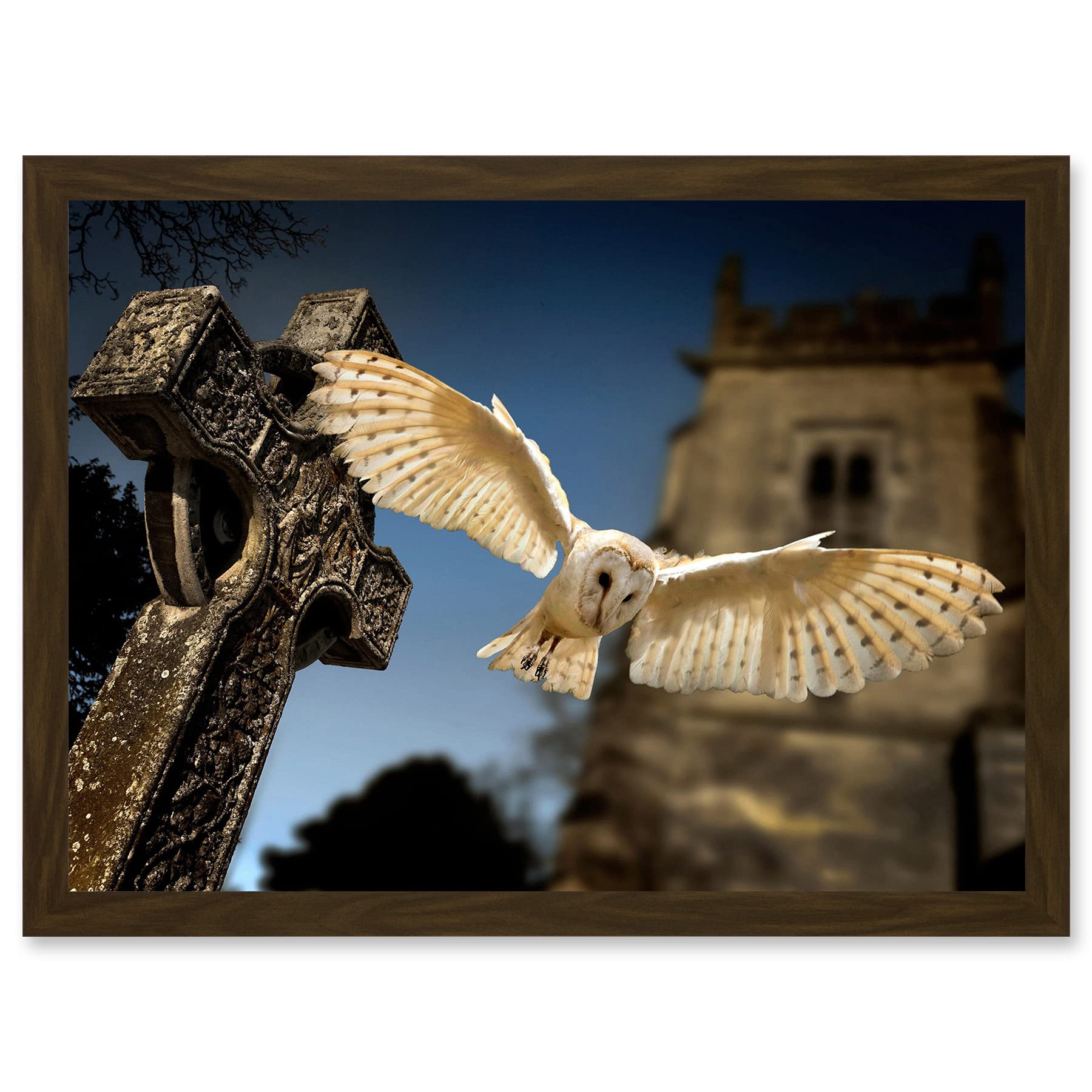 Artery8 Photo Barn Owl in Flight Bird Alba Graveyard Scotland Artwork Framed Wall Art Print A4