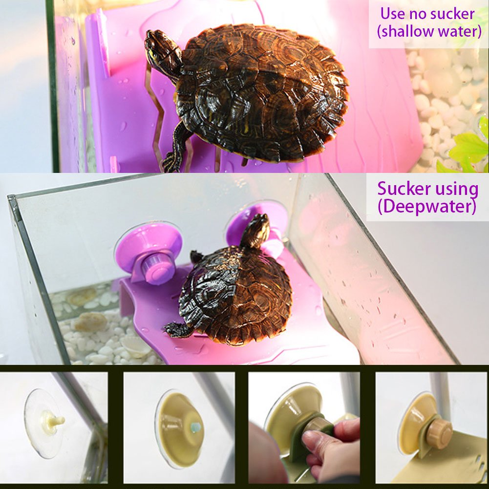 Dock De Tortue Pour Réservoir: Plate-forme De Selsification Aquatique