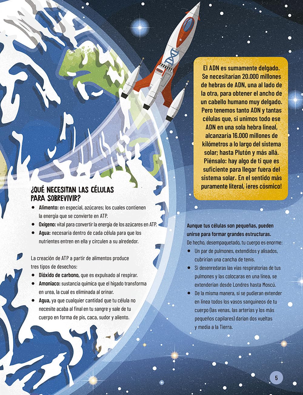 Un muy breve viaje a través del cuerpo: Edición ilustrada de un recorrido apasionante de la cabeza a los pies (Infantil)