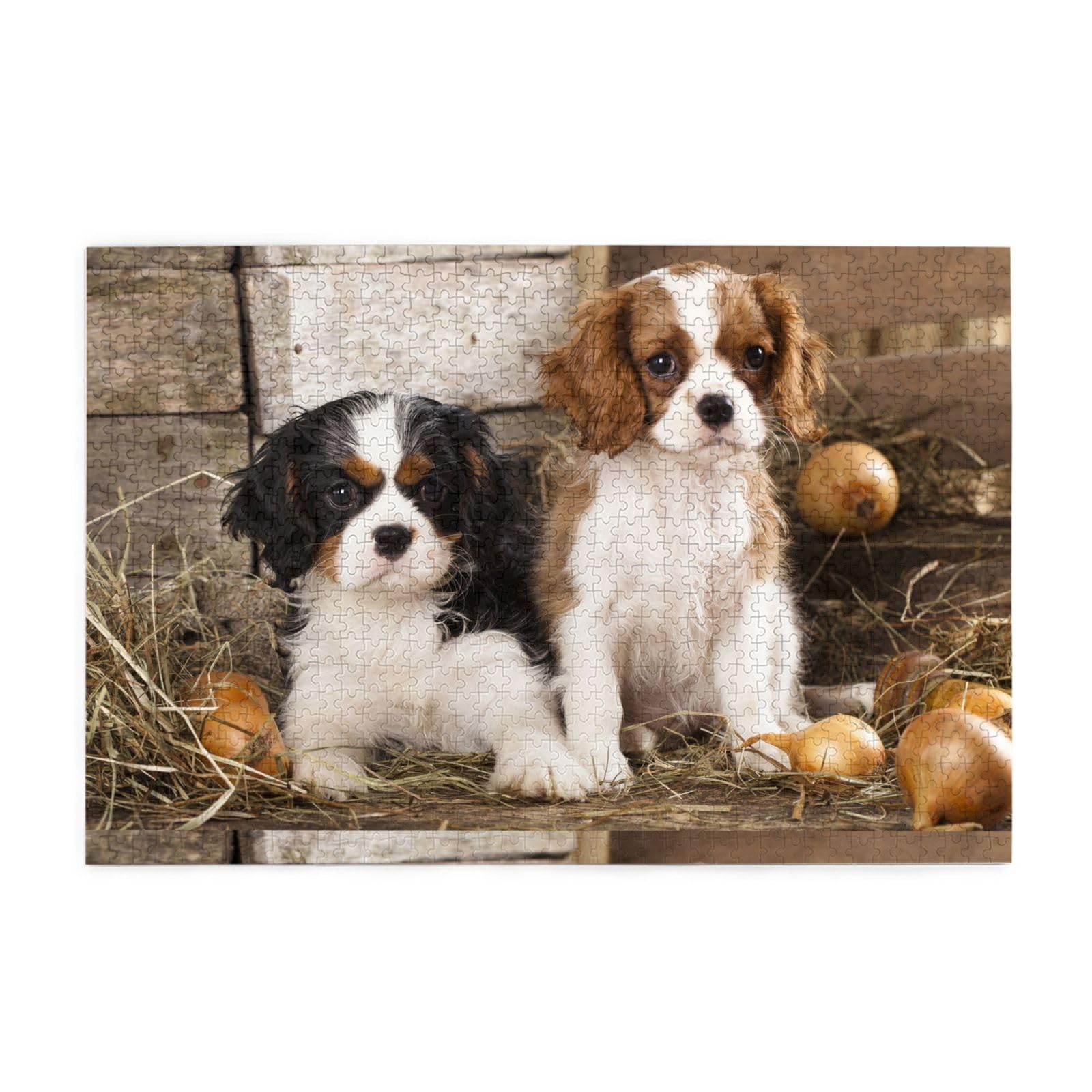 Gioco di puzzle per adulti, puzzle impegnativi, puzzle da 1000 pezzi, cuccioli di Cavalier King Charles Spaniel
