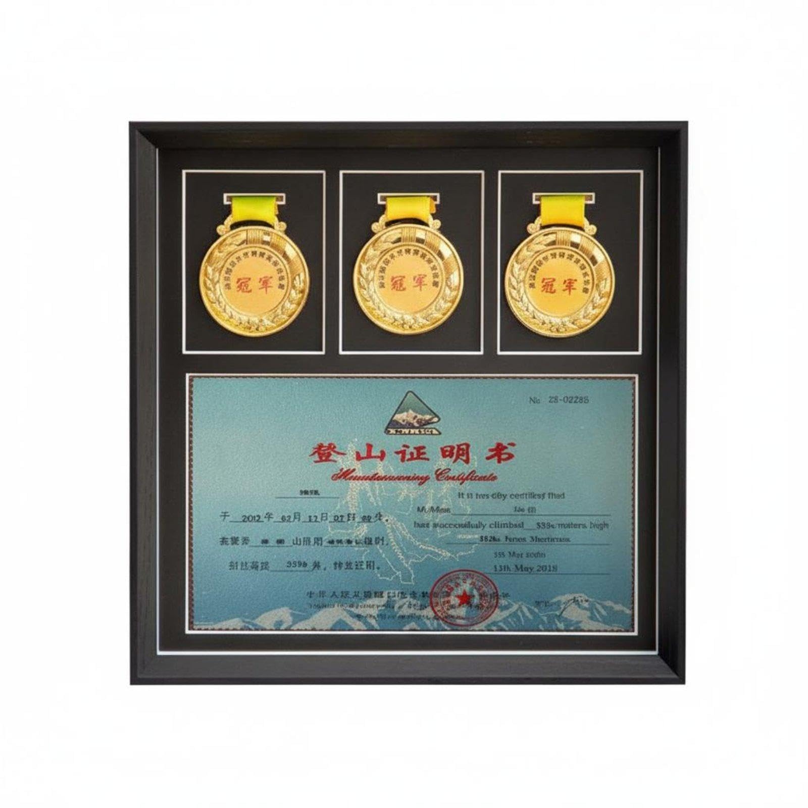 Medal Display Frame High-Clearness Panel Distance Challenge Medal Holder Ideal Gift Sports Award Display Case for Athletes, Collectors, Office Sq 12IN 3-Hole Cert-image-15