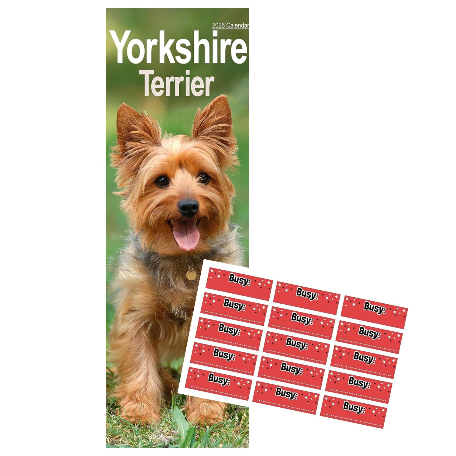 Yorkshire Terrier Slim Calendar 2026 | Dog Breed Yorkie Slimline Calendar | 12 Month Wall Calendar | January to December 2026 | With Free Organisational Stickers, Yorkshire Terrier Gift