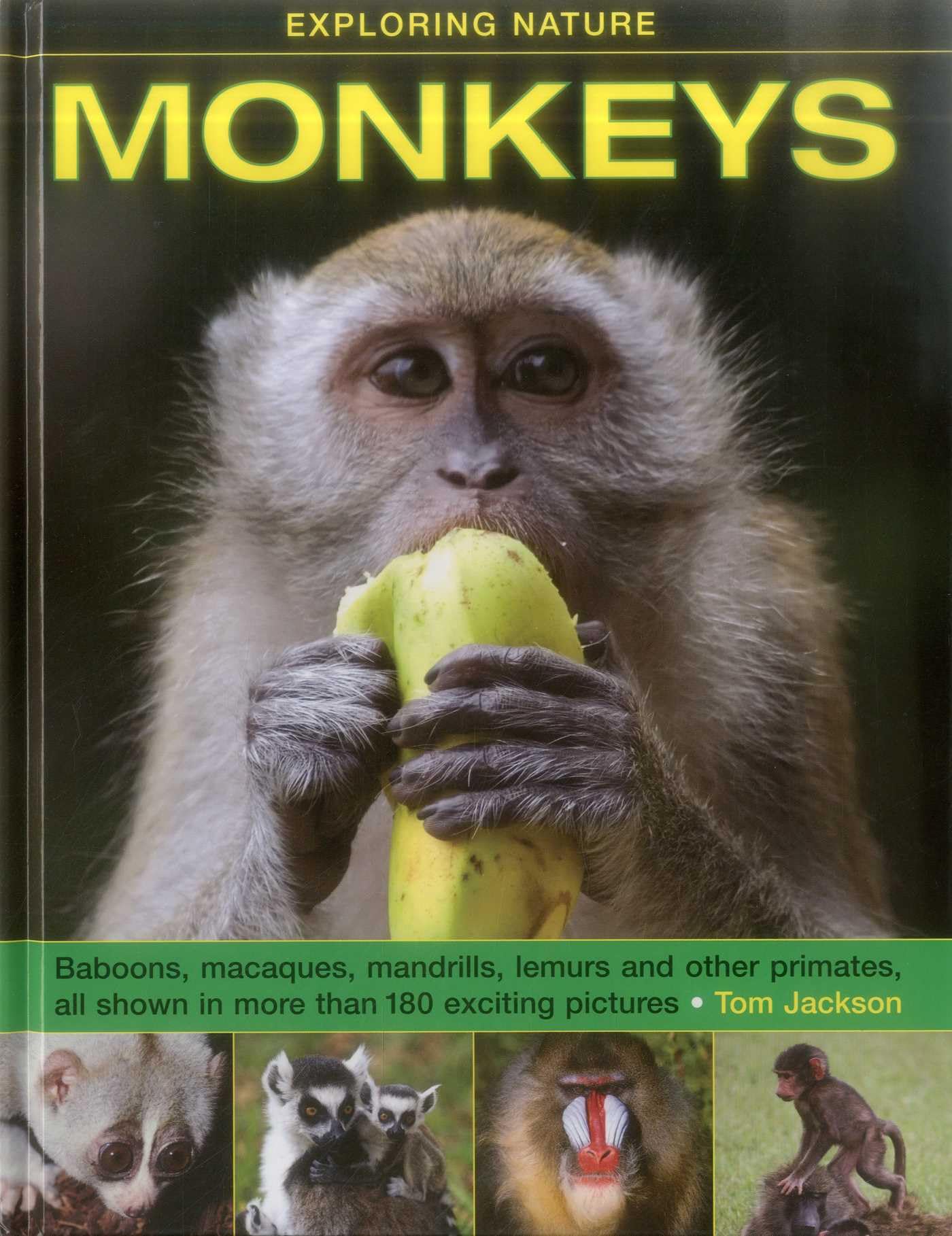 Monkeys (Exploring Nature).by Jackson  New 9781861474971 Fast Free Shipping**