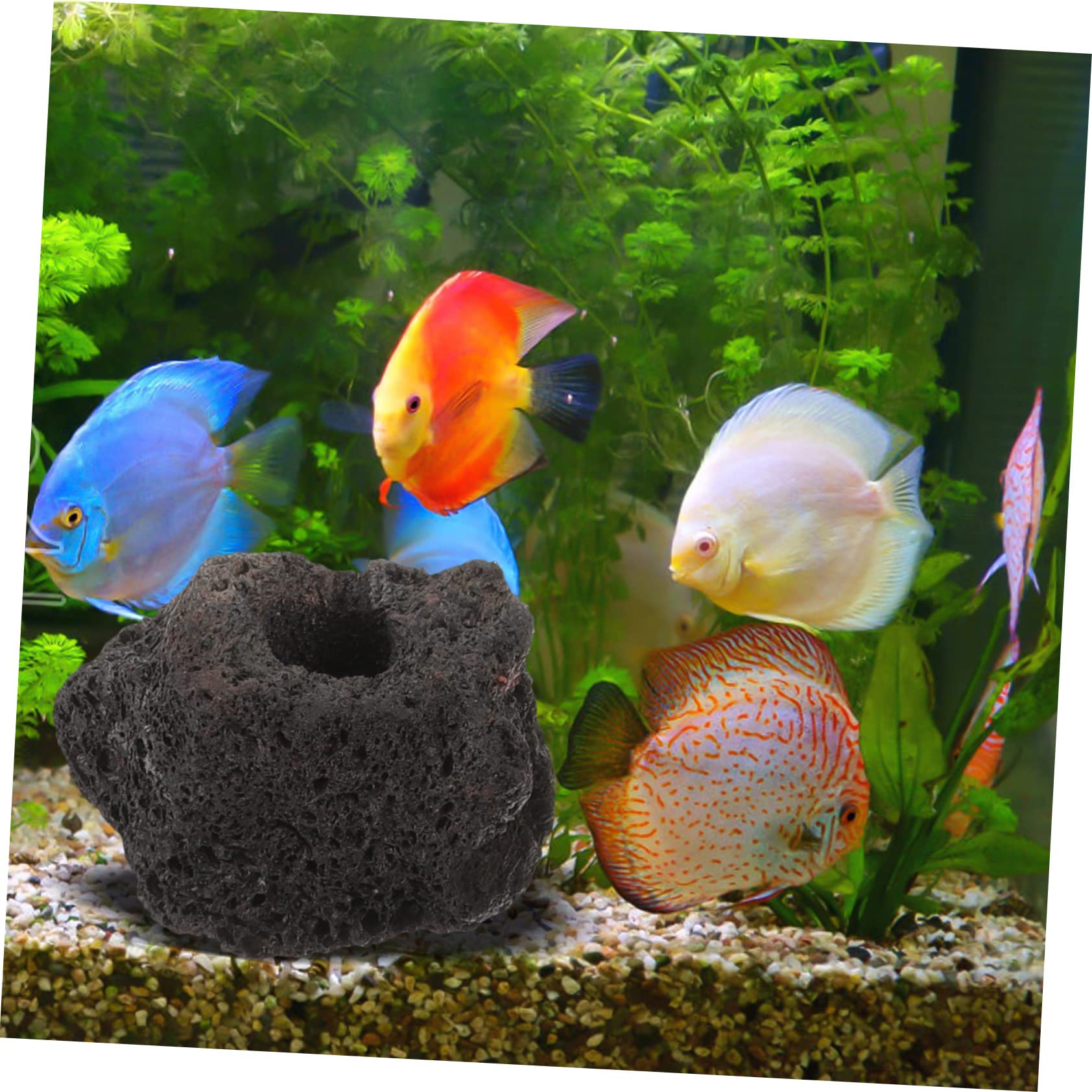 Yardwe 10piezas Anillos Fijación Rocas Volcánicas Unidades Decoración Peceras Acuáticas