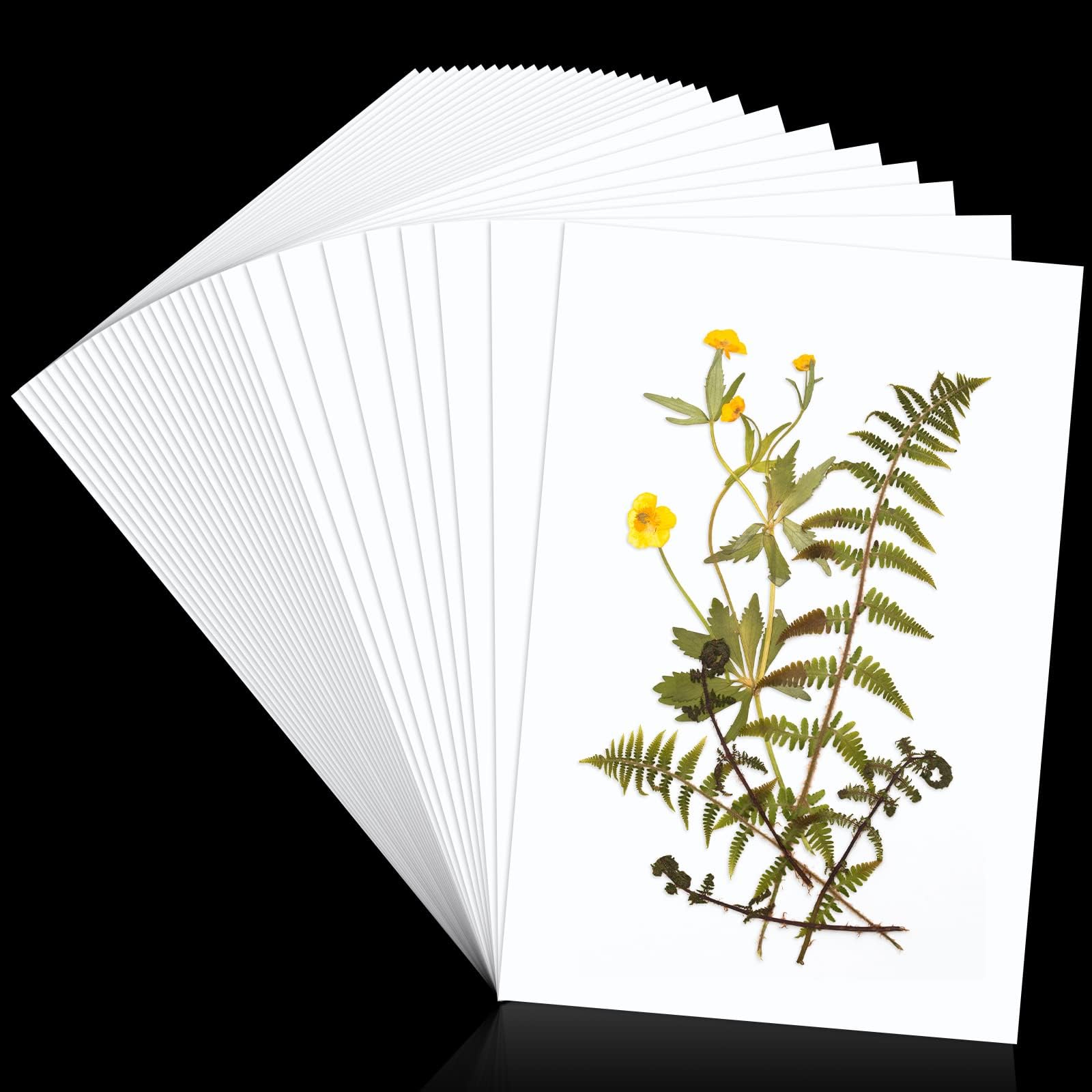 30 Pcs Blotting Paper for Flower Press Large A4 Flower Press Paper Blotter Paper Highly Absorbent Reusable Herbarium Paper Refill Lining Paper for Art Craft Scrapbook Making, 11.81 x 7.87 Inches
