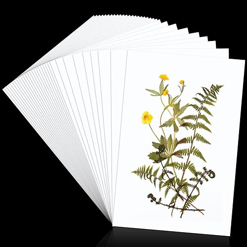 30 piezas de papel secante para prensa de flores, papel secante grande A4, papel secante, altamente absorbente, reutilizable, papel de recambio de