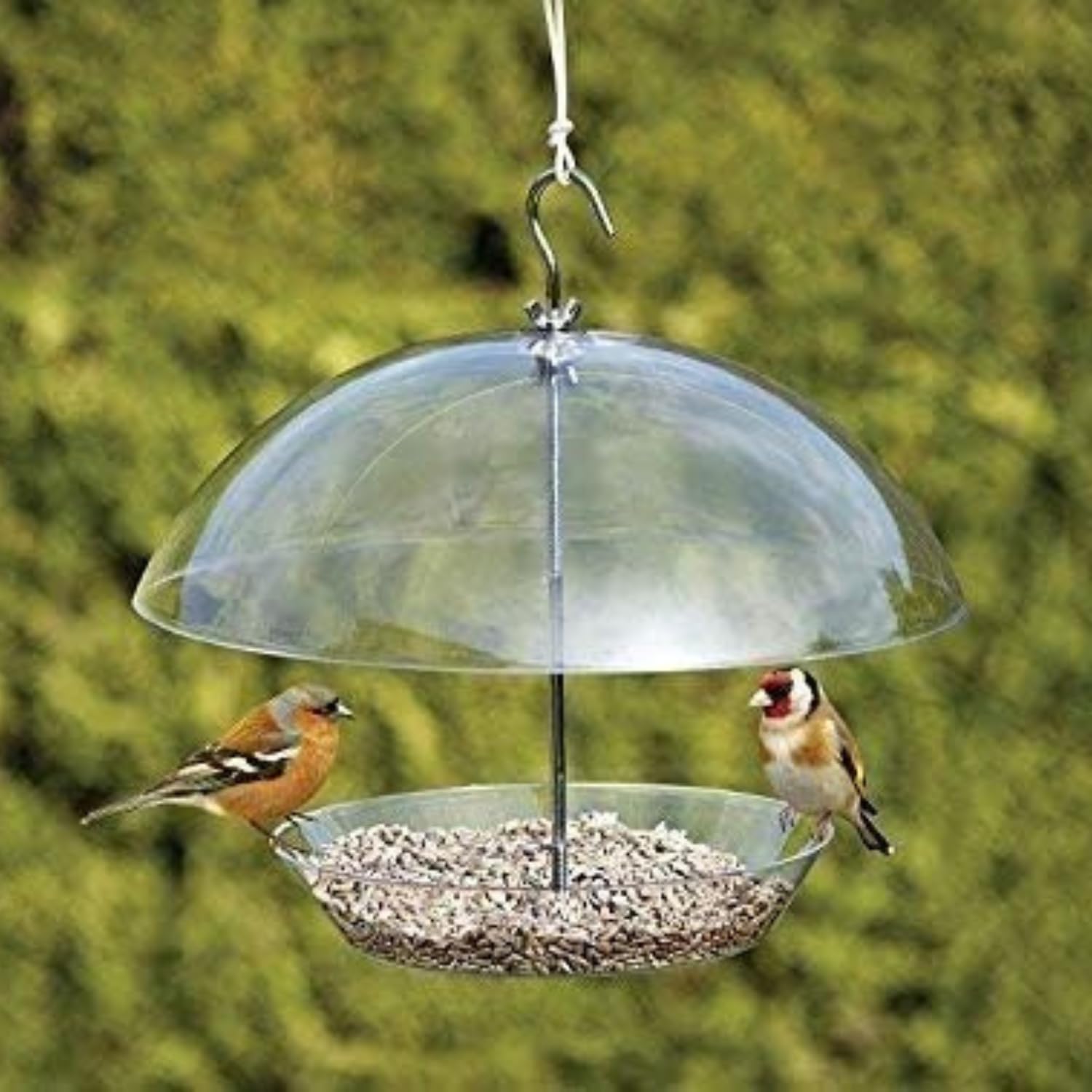 Garden Mile Clear Covered Dome Canopy Adjustable Hanging Bird Feeders Garden Bird Feeders Seed Feeder Easy Clean and Fill Removable Tray With Hanging Hook For Small Birds - Keeps Big Birds Out