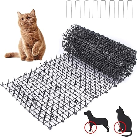 cat scat mat amazon