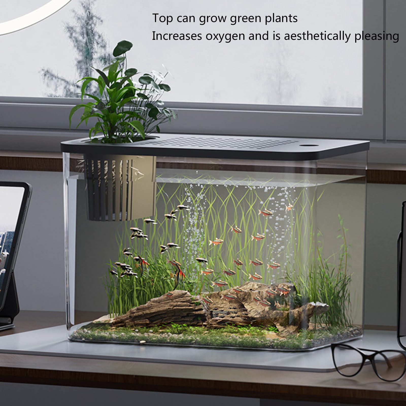 Modernes Leckdichtes Aquarium Mit Kindlich Sicherer Deckel Und Pflanzenhalter Home Office Desktop Fisch Lebensraum Ökologische Fischtanks