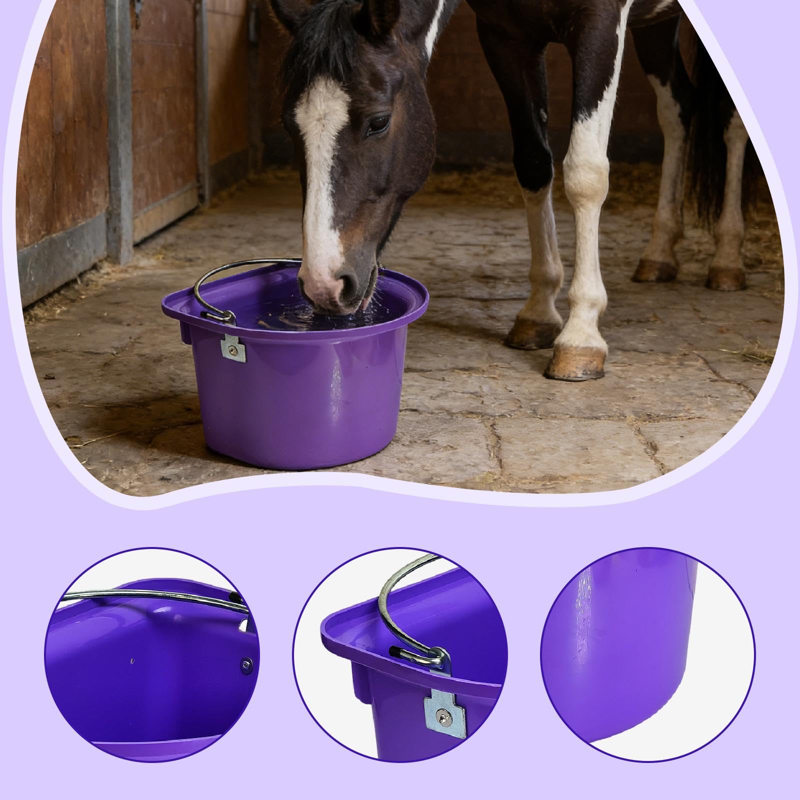 Mangiatoia per Cavalli, Secchio per Mangime, Contenitore per Mangime, Secchio per Acqua, Materiale Metallico PP Resistente all'Usura, Facile da Pu
