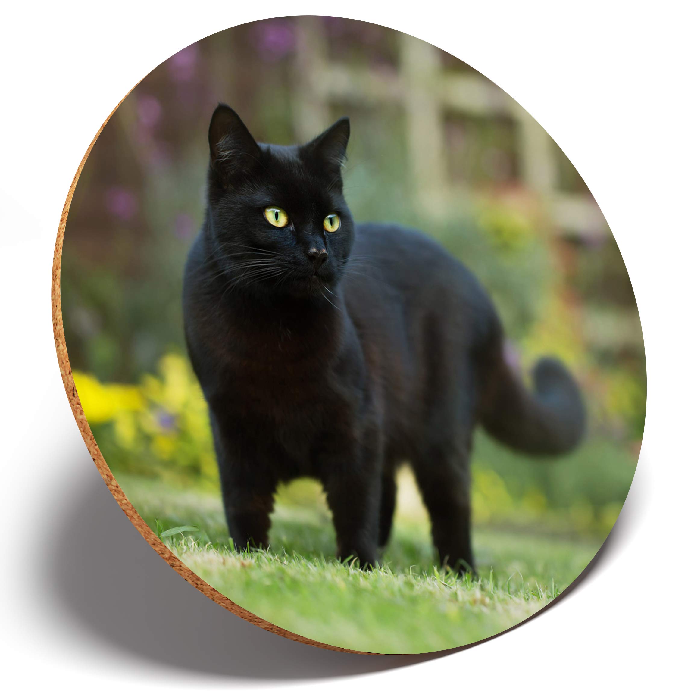 Destination Vinyl Coasters Multicolor 1 X Hunting Black Cat Kitten Pet - Round Coaster Kitchen Student Kids #2604