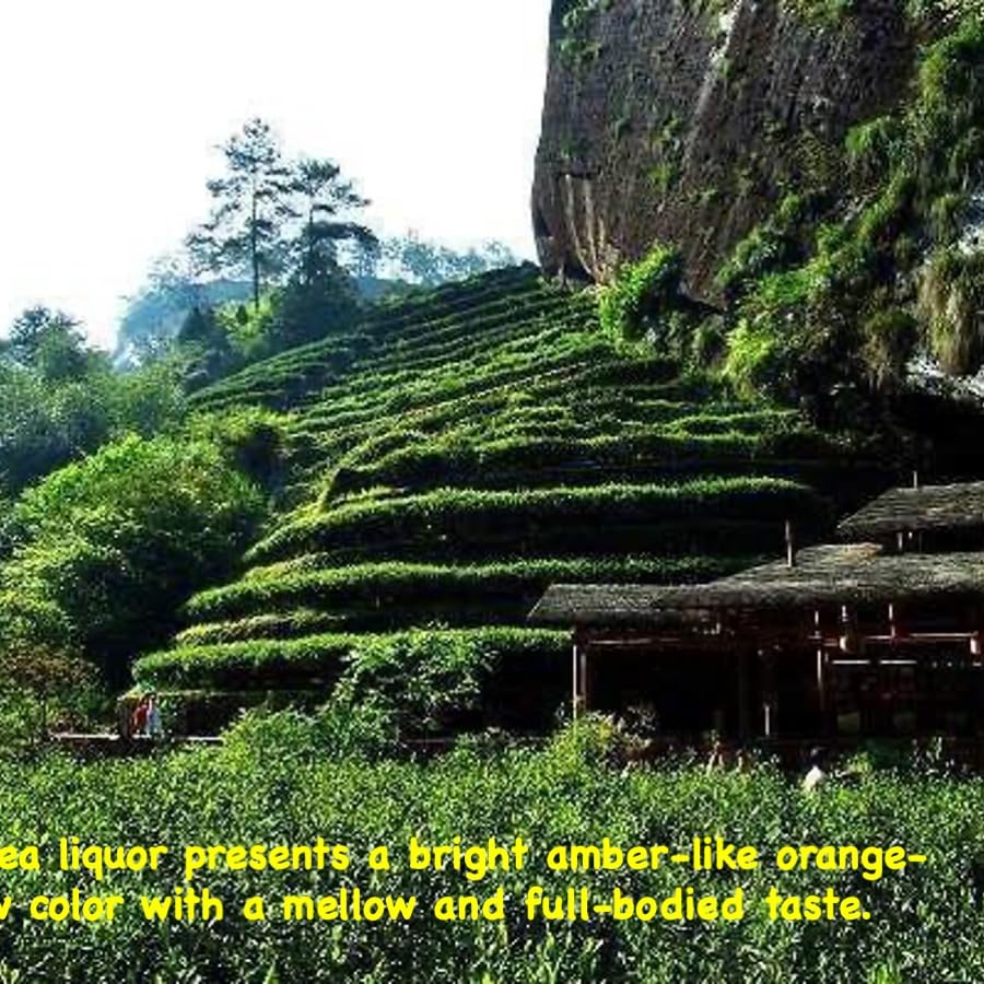 Xiangsou Dahongpao Oolong Tea,Wuyi Rock-Essence Tea,Wuyi Mountain Zhengyan Core Producing Area,Mellow Rock Rhyme,Rich Aroma Style,12bags/96g/3.39oz,Time-Honored Chinese Oolong Tea,Chinese Tea Gift