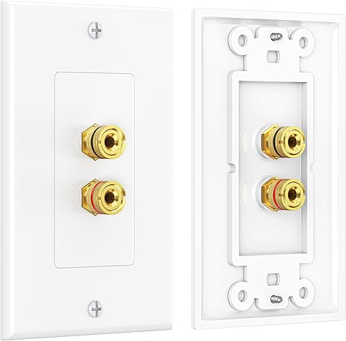 Cable Matters Paquete de 2 placas de pared de alambre para altavoz, placa de pared de altavoz chapada en oro con poste de encuadernación de enchufe