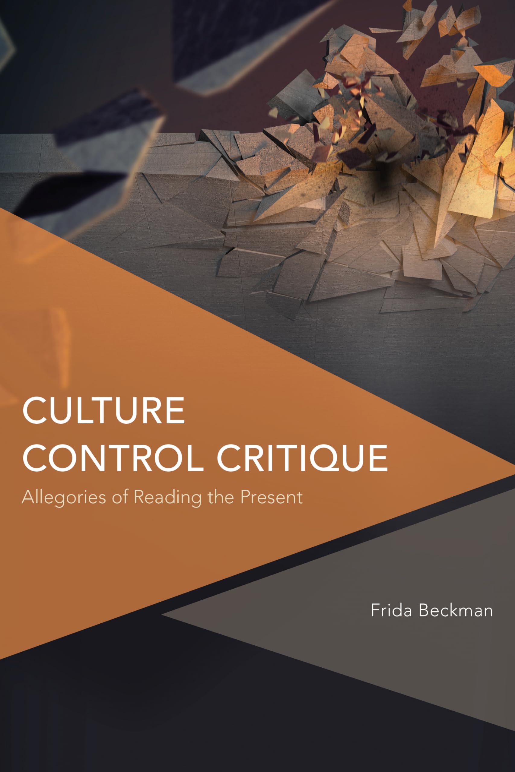 Culture Control Critique: Allegories of Reading the Present (Critical Perspectives on Theory, Culture and Politics)