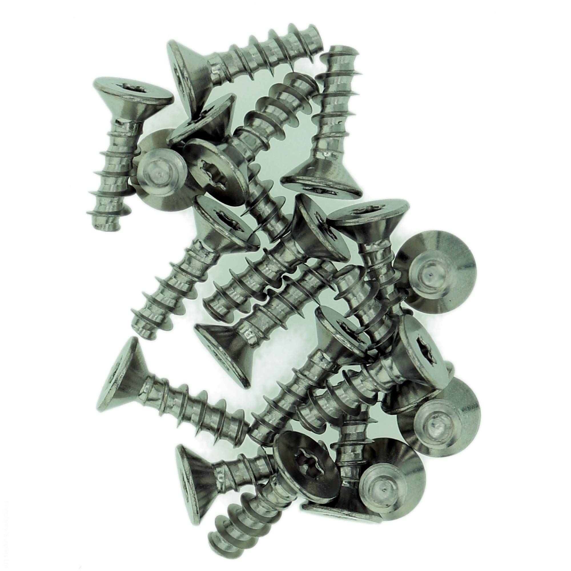 Singularity Supplies Silver D5 (5Mm X 10Mm) Tx Countersunk Screws For Plastic - Stainless Steel (A2) (Pack Of 20)