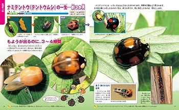 Amazon.co.jp: 一生の図鑑 (ニューワイド学研の図鑑i(アイ