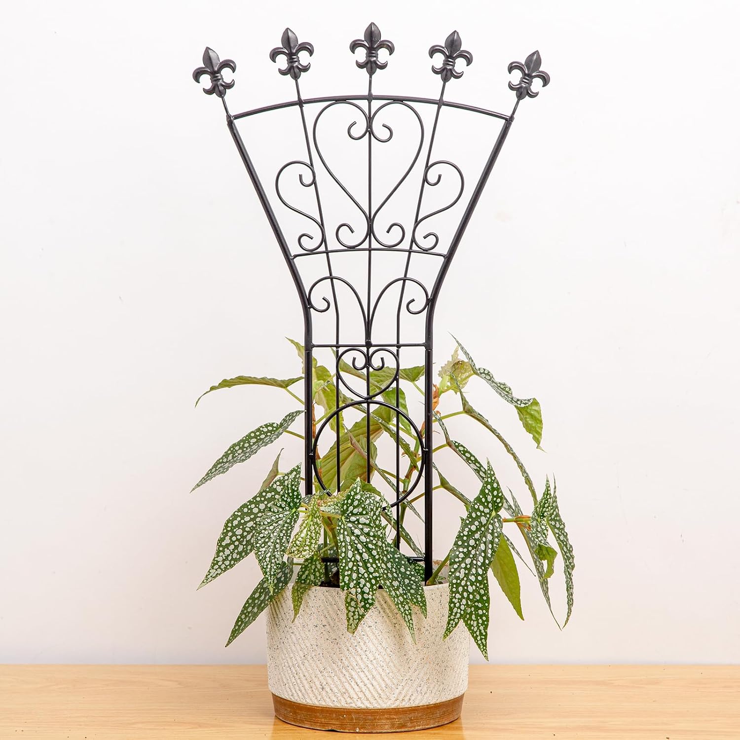 Heavy Duty Trellis for Potted Plants 24" Elegant Metal Climbing Support