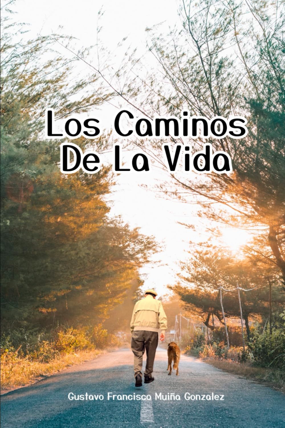 Los caminos de la vida