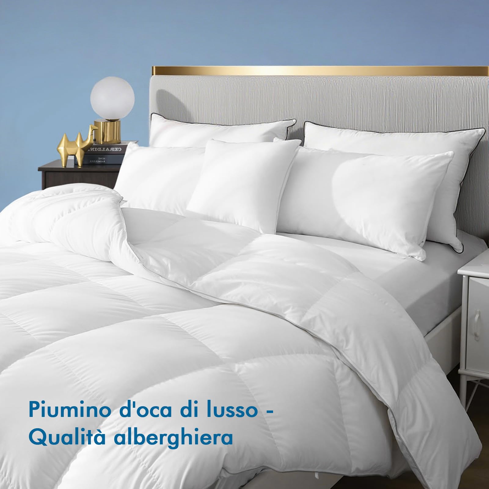 Dafinner Piumone Matrimoniale, Coperta di Lusso in Piuma d’Oca 90%, Fodera in Cotone Certificato Oeko-Tex e RDS, Traspirante e Morbida 200×200cm