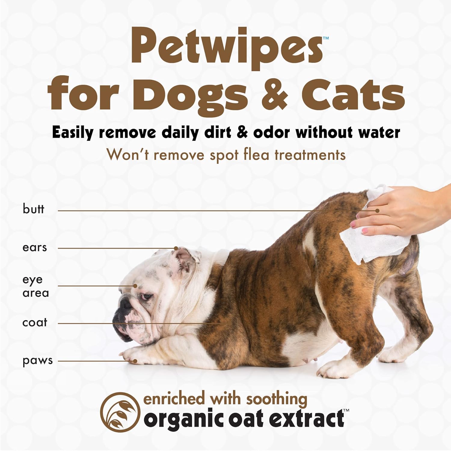 Petkin Pet Wipes for Dogs and Cats, 200 Wipes (Large) – Oatmeal Pet Wipes for Dogs and Cats – Soothes Itchy Dry Skin and Cleans Ears, Face, Butt, Body and Eye Area – 2 Packs of 100 Wipes : Pet Supplies