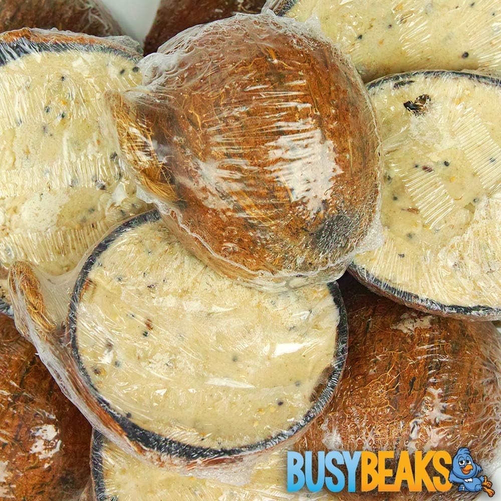 BusyBeaks Suet Filled Coconut Halves | Premium Wild Bird Food | Protein-Rich, High Energy Feed | Sunflower Seeds and Cereal Oat | Healthy & Strong Development for Birds | Year-Round Feeding (40 Pack)