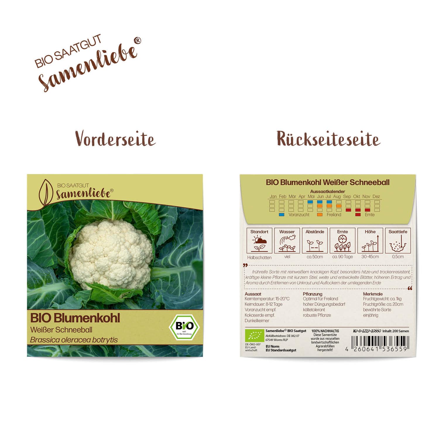 BIO Blumenkohl Samen ‚Weißer Schneeball‘ – Samenfest & Für Balkon & Beet!