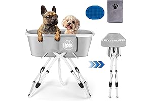 3-in-1 Premium Elevated Foldable Dog Bathtub