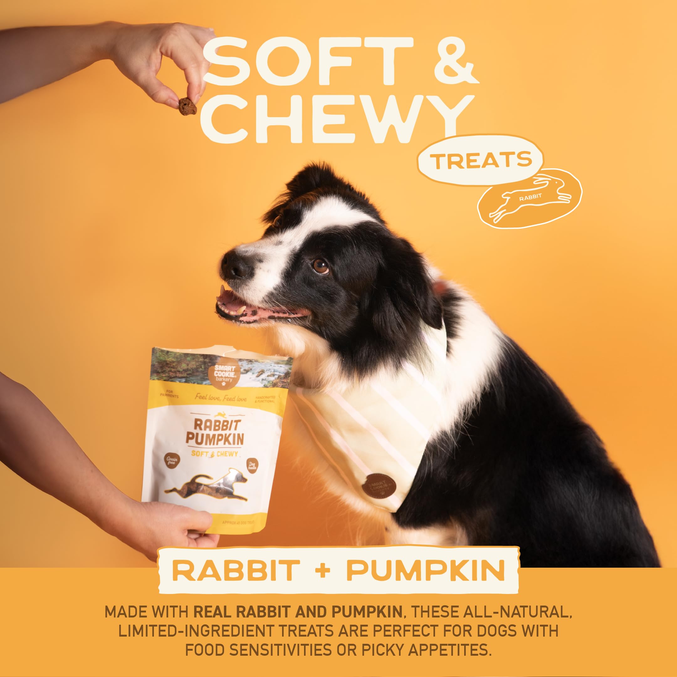 Amazon.com : Smart Cookie Healthy Soft Dog Treats - Rabbit