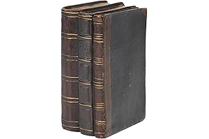 Decorative Resin Book Stacks Set of 3 for Shelves Decor