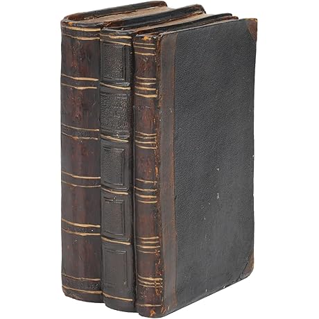 Decorative Resin Book Stacks Set of 3 for Shelves Decor