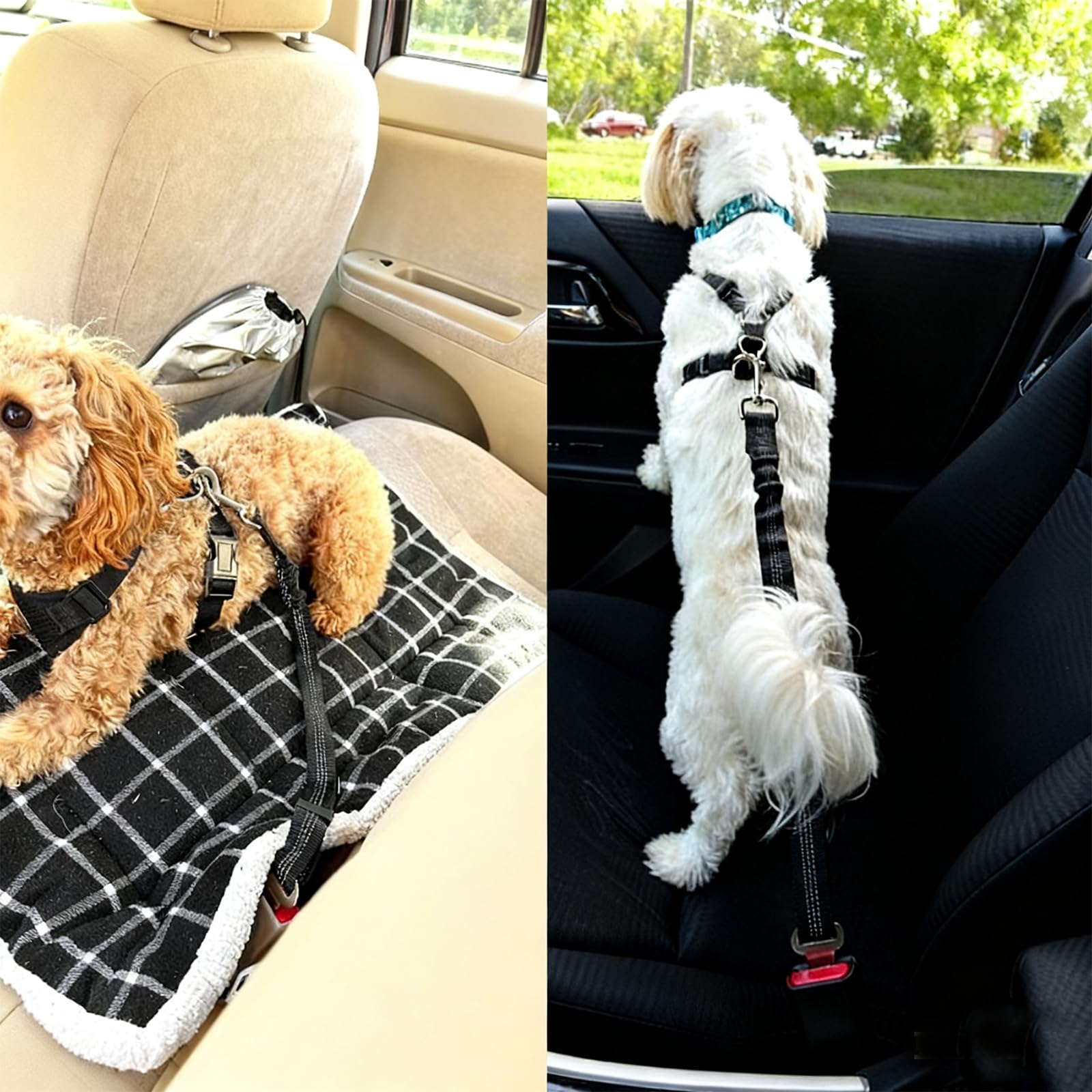 Dog Car Seat Belt Harness - Adjustable Mesh Breathable Safety Tether with Elastic Bungee for Small Medium Large Pets (L) - image 5