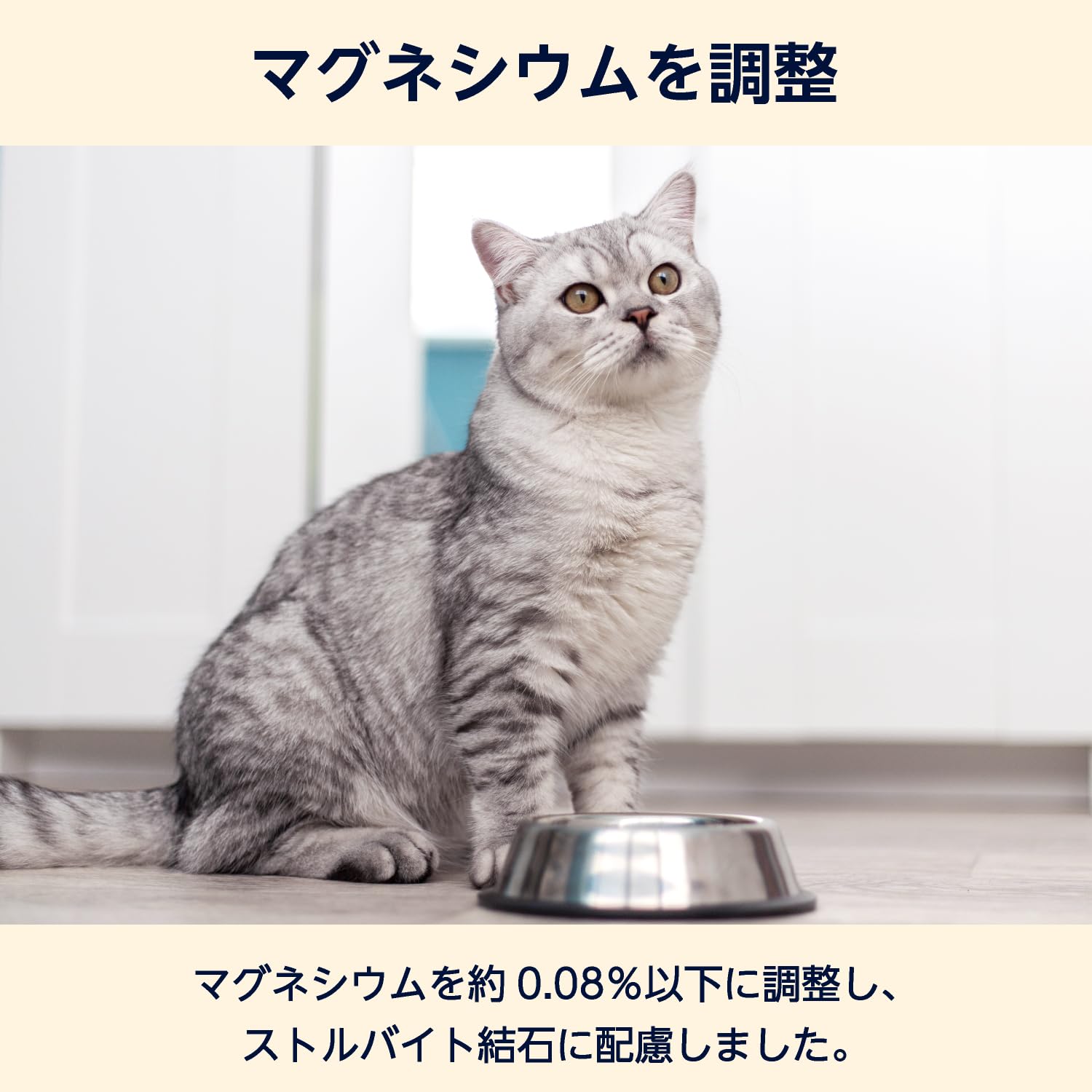Amazon | by Amazon 猫用食事療法食 下部尿路ケア 500g キャットフード