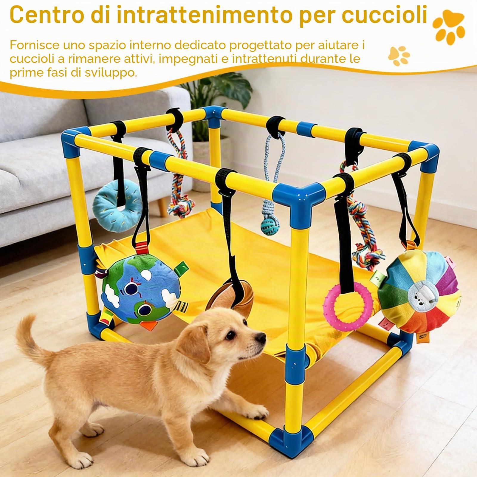 Palestra per Cani, Stanza Giochi per Cucciolo 60 x 40 x 40 cm con Amaca e Giocattoli Sospesi Sala Giocattolo per Cucciolo con Giochi per Cani per Promuovere L'esercizio e la Stimolazione Mentale